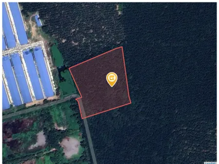 Bán đất 1000m² ngang 20m giá 3.8 tỷ tại Xã Tân Hiệp Huyện Phú Giáo