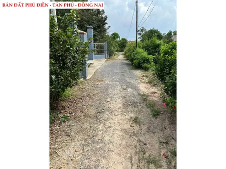 bán đất Phú Điền - Tân Phú  ngang 8m giá chỉ 620tr