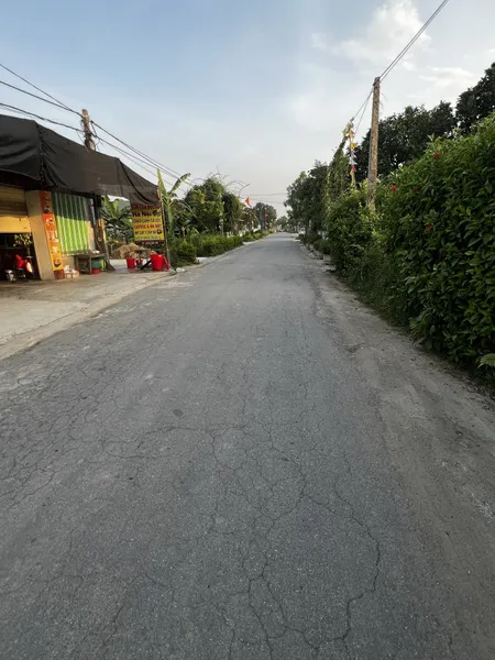 Bán đất