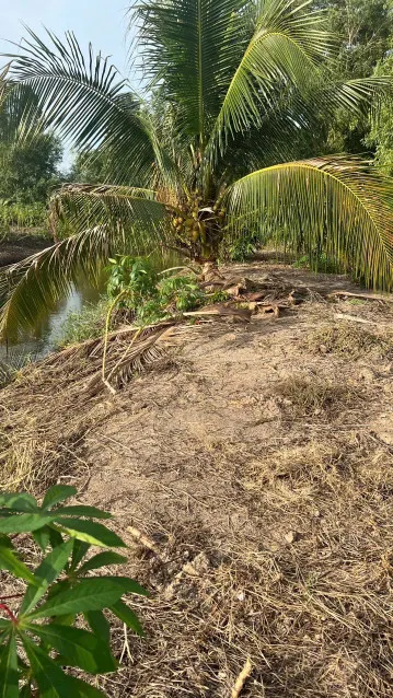 Bán đất 1000.3m² ngang 22m giá 850 triệu tại Xã Tân Tập Huyện Cần Giuộc