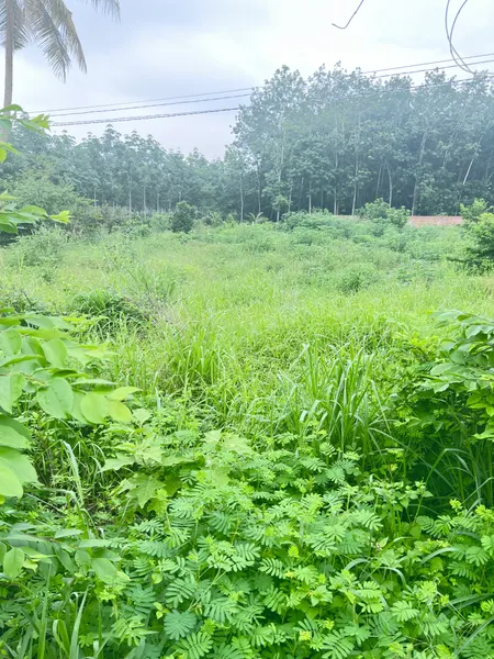 Xả lỗ trả tiền ngân hàng