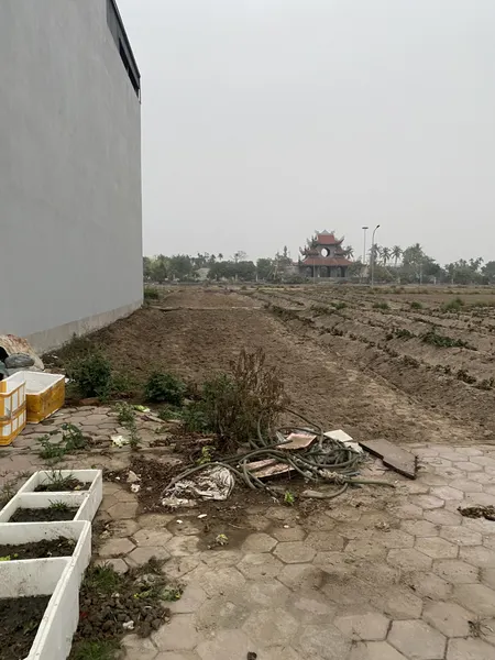 Khu Đấu giá Dưỡng Thái Trung