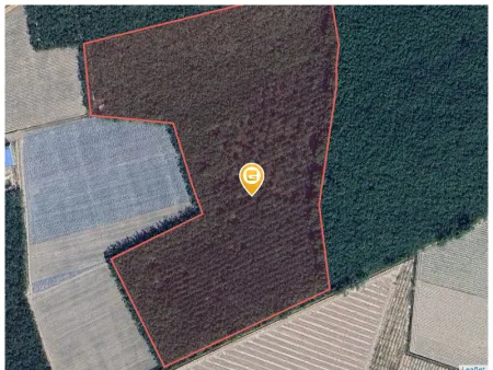 Bán đất 120000m² ngang 120m giá 13.2 tỷ tại Xã Thành Long Huyện Châu Thành
