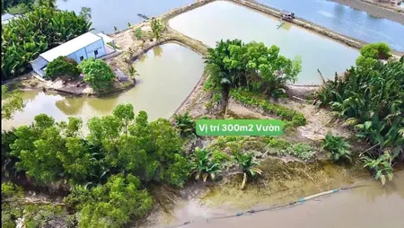 Bán đất 300m² giá 200 triệu tại Xã Tân Tập Huyện Cần Giuộc