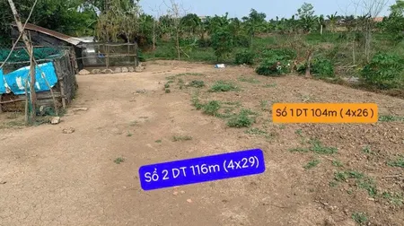 Bán đất 104m² ngang 4m giá 480 triệu tại Xã Đông Thạnh Huyện Cần Giuộc