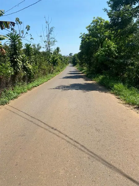 Bán lô tại xã đinh trang hòa 3 mặt tiền, huyện di linh, lâm đồng