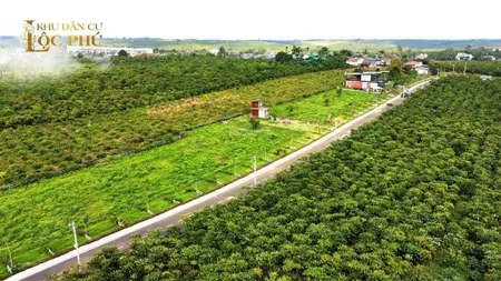 Bán đất bảo lâm, lộc phú giá rẻ, cơ hội đầu tư sinh lời siêu lợi nhuận