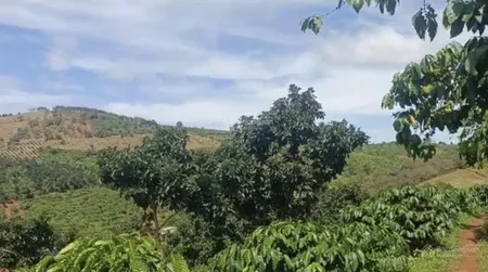 Đất ngộp giá rẻ, 200 triệu/sào. đất triền view núi đồi, săn mây