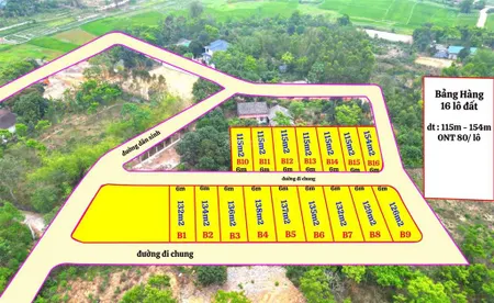 Chỉ từ 3xx hơn 400tr sở hữu lô đất 106, 158m2 tại kiên tràng tam quan tam đảo giáp kcn tam dương 2