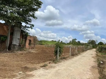 Đất ngộp đẹp giá đầu tư tại láng lớn châu đức, 1000m2, đường nhựa, khu dân cư