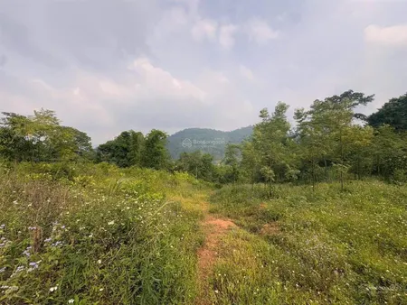 Lô đất hơn 6000m2 view thoáng nhìn toàn bộ kdc, giá cực mềm chỉ 400,000đ/m2