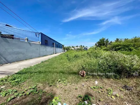 Cần ra đi lô đất đ.nguyễn huệ, hội an đông gần chợ tt lấp vò, đồng tháp 120m2 giá chỉ 500triệu .shr