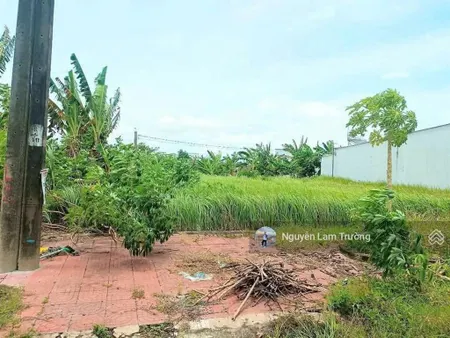 Đất nền phân lô sổ f0 diện tích 5x22m2/110m2 ở long hồ vĩnh long giá 530 triệu bao sang tên