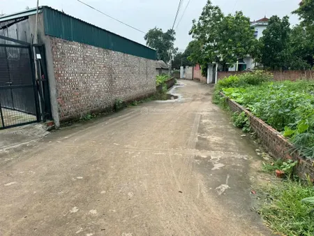 Đón đầu xu hướng đất nền thạch đà, mê linh vị trí trung tâm, giá hấp dẫn