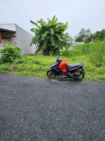 Cần bán gấp 2 nền khu dân cư trường giang, đinh tiên hoàng phường tân hạnh , long hồ 100m2 shr