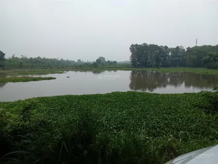 Cần bán mảnh đất 10.000m2 thổ cư và trồng cây lâu năm giá 7.2 tỷ có thương lượng tại tân yên bg