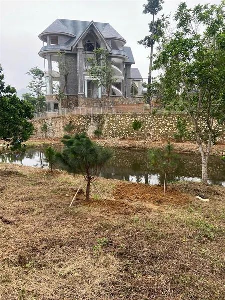 Chính chủ gửi 4400m2 đối diện khu nghỉ dưỡng làng châu âu yên bình thạch thất giá công khai 24 tỷ