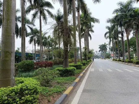 Bán biệt thự liền kề kđt đặng xá, gia lâm 14.6 tỷ