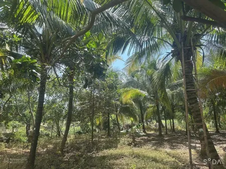 Bán 3500m2 có 300m2 thổ cư nhà cấp 4, tp. long khánh, giá 2tỷ5. 0945 291 ***