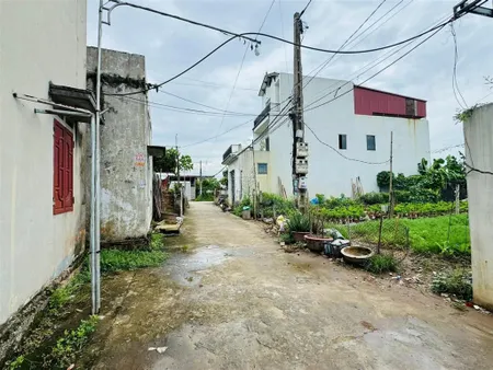 Chính chủ cần bán 100m2 đất đấu giá mễ sở văn giang, giá tốt nhất thị trường chỉ 3x triệu/m2