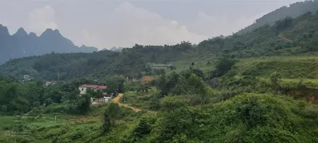 Bán 26000m2 (2.6ha) xã liên sơn, huyện lương sơn, hòa bình view hồ giá 10 tỷ 0986 997 ***