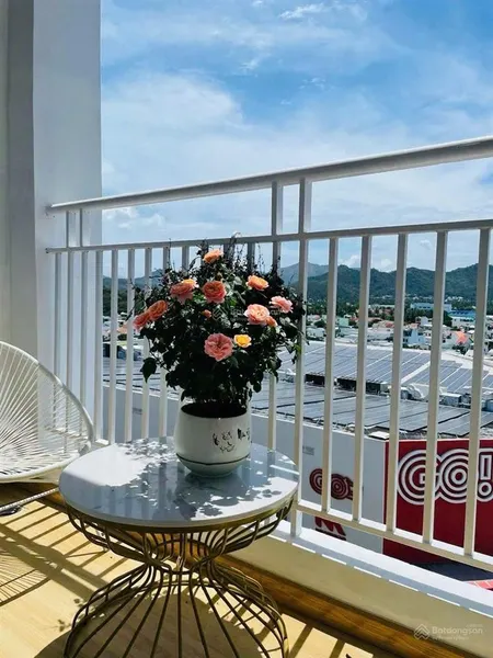 Bán nhanh căn hộ mới, đầy đủ nội thất căn hiếm view trực biển và siêu thị go
