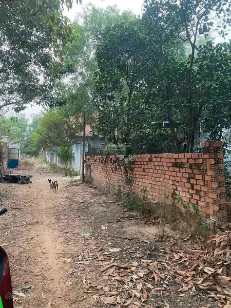 Đất trung tâm phường tân phong, tp. biên hoà