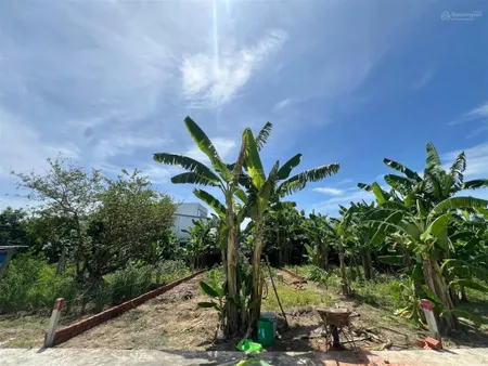 Bán đất nền tại nhơn thọ 1, xã hòa phước, hòa vang, đà nẵng đường ô tô 5m
