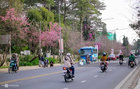 Bán nhà phố mặt tiền đường an sơn, p.4 nhà đẹp 4 tầng có thang máy, khu homestay hot nhất đà lạt!