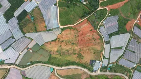 Cần bán gấp lô đất (20 thửa) ở thị trấn lạc dương, gần tp đà lạt. đất trồng cây lâu năm đã có qh