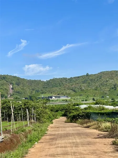 Bán đất 2000m2 liên hiệp, đức trọng, lâm đồng, gần ql27 giá chỉ 1ty8/sào