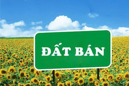 Chính chủ tách bán 80m2 đất đường 3m Cổ Hiền Tuyết Nghĩa Quốc Oai Hà Nội