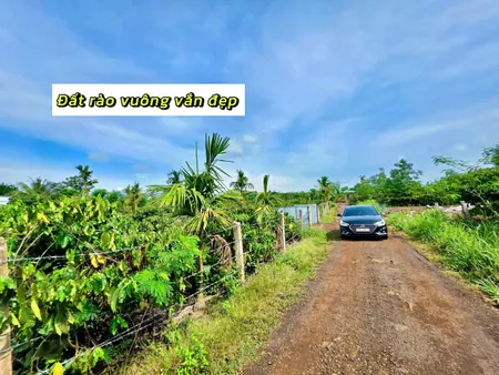 8 sào đất thổ cư ngang 100m giá 1.99 tỷ tại Xã Ea Drông Thị xã Thị Xã Buôn Hồ
