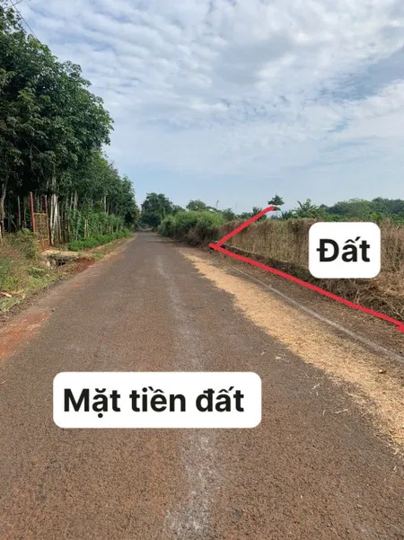Bán lô đất đẹp Mt nhựa quy hoạch Full hồng. 50 x111 xã bàu lâm
