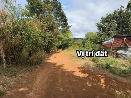 Bán đất 4117.3m² giá 639 triệu tại Xã Cư Né Huyện Krông Búk