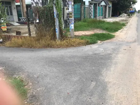đất cây lâu năm