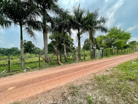 Bán đất đẹp Mt sông Sg có thổ 96m2 * đất đang trồng na . Bao đẹp * 75 x40