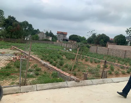 Bán đất 119,5m² ngang 5,5m giá 2.33 tỷ tại Xã Minh Trí Huyện Sóc Sơn