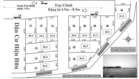 Bán đất 80m² ngang 5m giá 1.65 tỷ tại Xã Tân Minh Huyện Sóc Sơn