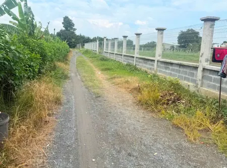Đất Bình Hòa Vĩnh Cửu gần sông mát mẻ phù hợp làm nhà vườn nghỉ dưỡng