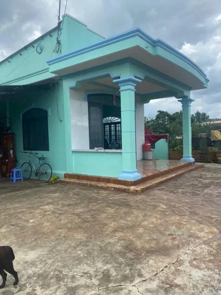 NHÀ VƯỜN Bưởi Tân Triều Vĩnh Cửu Đồng Nai