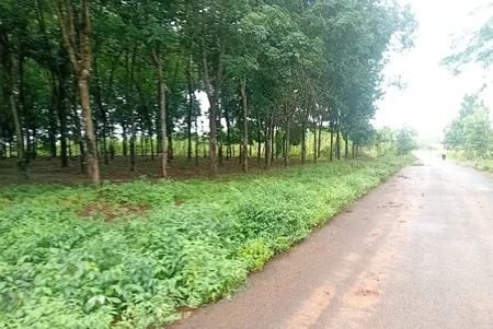Cần bán gấp có thương lượng