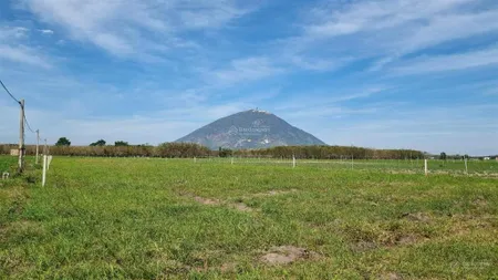 Cần bán đất rẫy trồng cây ở xã phan, tây ninh, cách núi bà 8km. dt 5000m2, giá 1,2tỷ hết đất