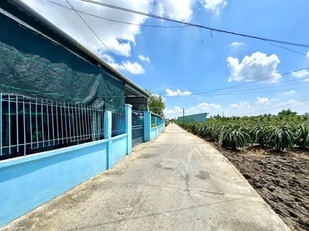 Bán lô đất thổ cư đường gtnt 4,5m thuộc ấp bình xuyên, xã bình quới, châu thành, dt 10 x 31m