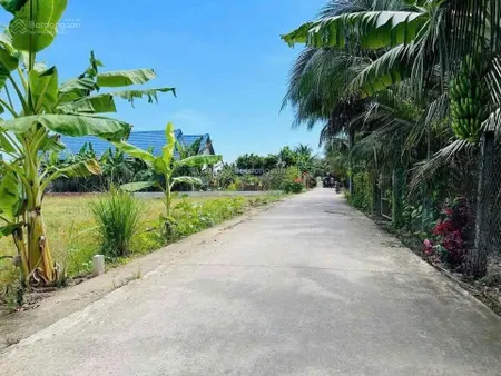 Cần bán nhanh nền f0, phường trung an, giá 4,2tr/m2 đường 5m