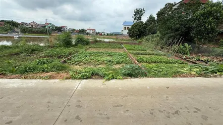 Chính chủ bán lô đất 100m full thổ cư giá chỉ 1x tỷ tân yên, trung giã, sóc sơn