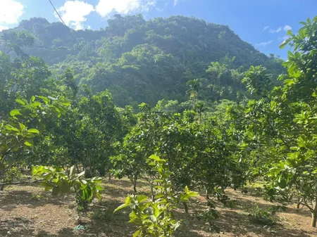 Cần bán nhanh mảnh đất đẹp tại kim bôi