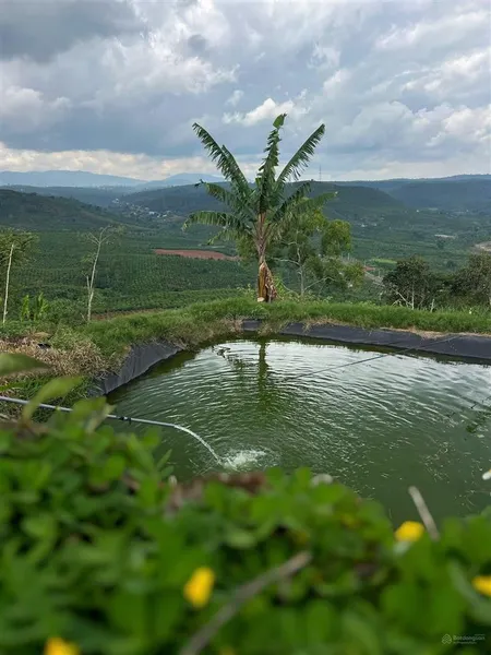 Bán vườn 17.000m2 vuông điện nước đầy đủ