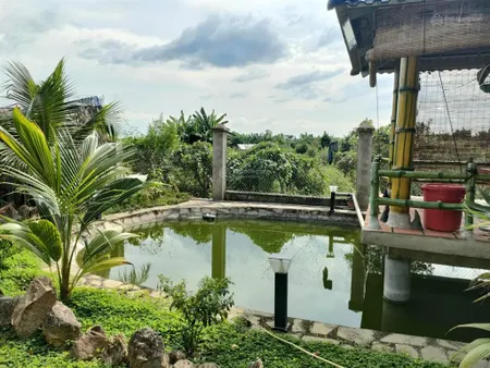 Nhà vườn 1.850m² bán gấp chỉ 3 tỷ 950tr thương lượng chính chủ. cách chợ, trường học 1km