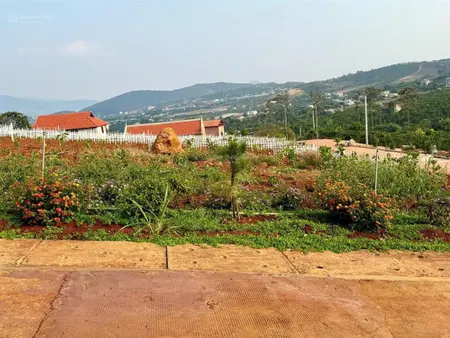 Lô góc 2 mặt tiền đường ôtô sổ hồng 587m2, 391m2 thổ. view hồ bãi công